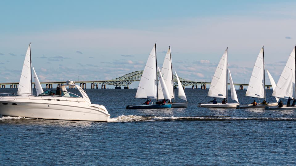 A white yacht and several sailboats on a calm body of water with a bridge in the background.