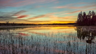 Um lago tranquilo ao pôr do sol, com gramíneas altas e uma floresta ao fundo.