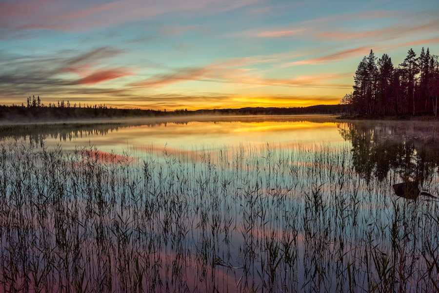 A calm lake at sunset with tall grasses and a forest in the background.