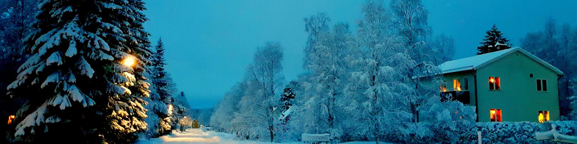 winter landscape with trees and house in Dorotea Sweden