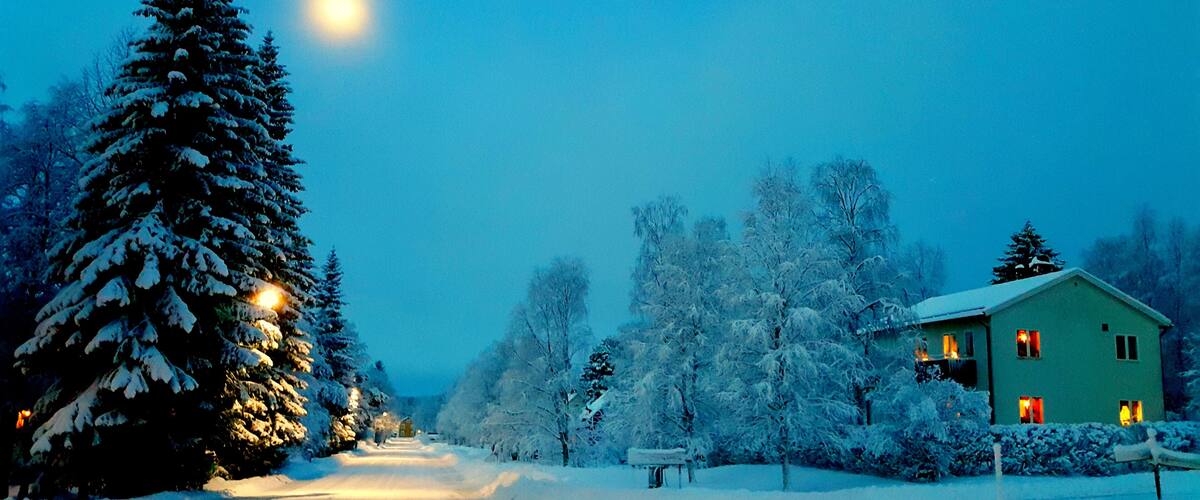 A snow-covered landscape with a green house and a large evergreen tree illuminated by lights.
