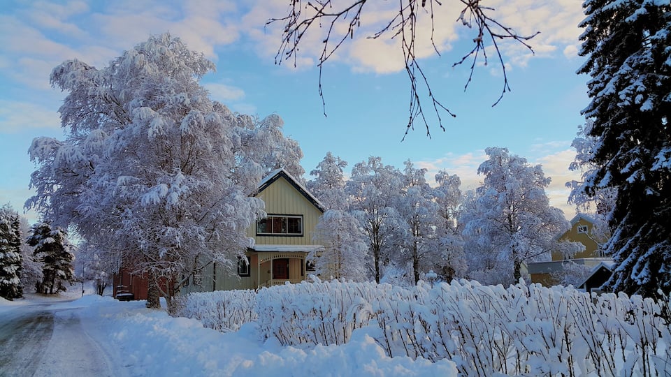 A snow-covered landscape with a two-story house surrounded by trees and a snow-covered road.