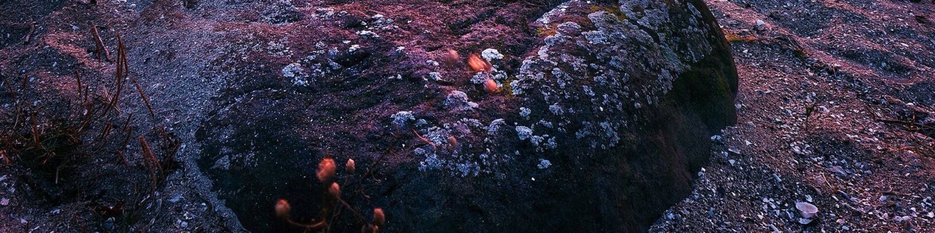 Gotta love the west coast of Sweden with its hidden beaches and charming villages. I recently went camping on Tjörn and found this epic spot which me and my gf had all to ourselves. Well, except for two very friendly and curious horses 😊