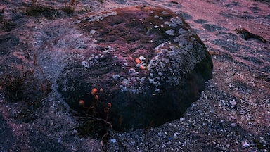 Gotta love the west coast of Sweden with its hidden beaches and charming villages. I recently went camping on Tjörn and found this epic spot which me and my gf had all to ourselves. Well, except for two very friendly and curious horses 😊
