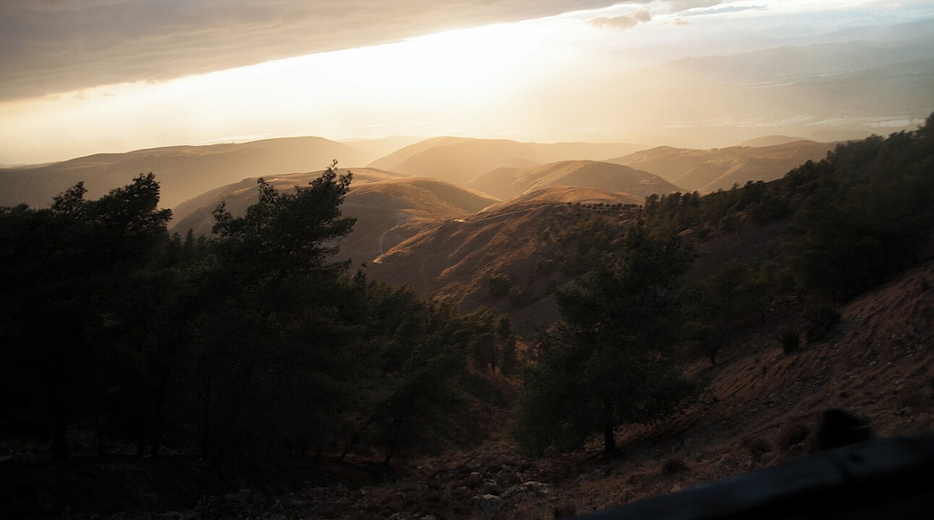 'Crossing the border back into Jordan from the north gave me the chance to be introduced to this less explored part of the country, which is indeed stunning and wild. Packed in orange clouds and under an incredible light, it was truly unforgettable.'
#goldenhour