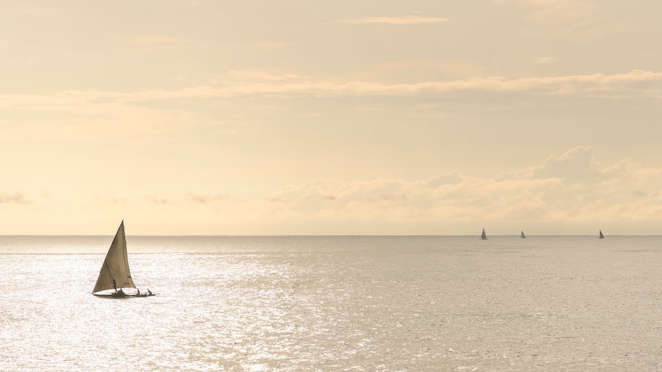 A calm sea with a sailboat in the foreground and a few sailboats in the distance.