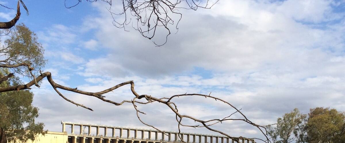 Murray River just downstream of the #HumeWeir in New South Wales, #Australia.
A fishing, boating, nature lover and photographers paradise!
Easter #Roadtrip
#iPhoneonly