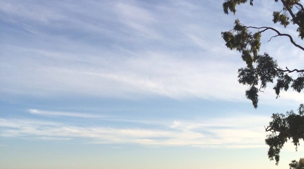 The Hume Dam with dusk tones on Good Friday, 2015.
The Hume Dam is a gated concrete gravity dam across the Murray River and downstream of the Mitta Mitta River. It provides flood mitigation, hydroelectricity, irrigation, water supply and conservation.
The reservoir now known as Lake Hume has the capacity of six times the water in Sydney Harbour, Australia. Notably in 2007, during the ten year drought, capacity fell to 1%.
It's a big structure and I had to stand afar to capture it on my trusty iPhone. All said I loved it and really enjoyed the colours and shadows.
#Australia Easter #roadtrip