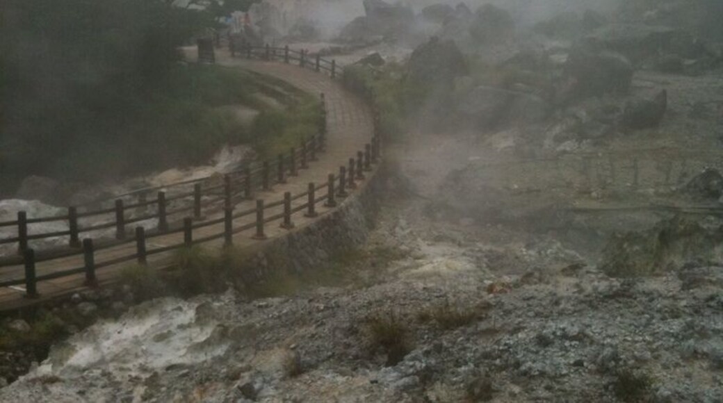 One of the many places in town where you can walk around and see the natural hot springs and gas vents. Stop in an onsen and take advantage of the water provided by the hot springs.