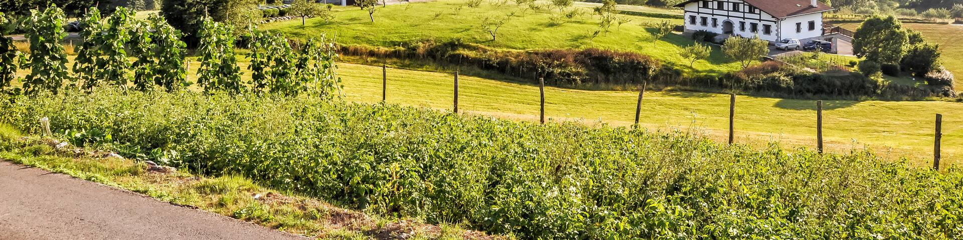 Superb view over the valley of Bidegoian.
Bidegoian, Bidania-Goiatz, Gipuzkoa, Basque Country, Spain, Europe