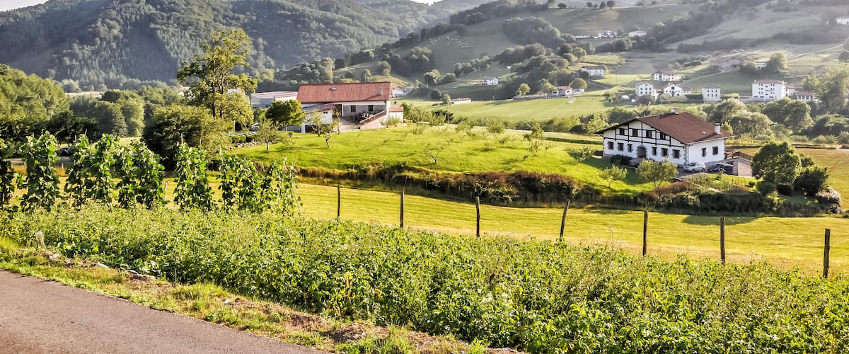 A rural landscape with rolling hills, vineyards, and scattered houses.