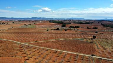 survol de la province viticole de Utiel-Requena près de Valencia en Espagne