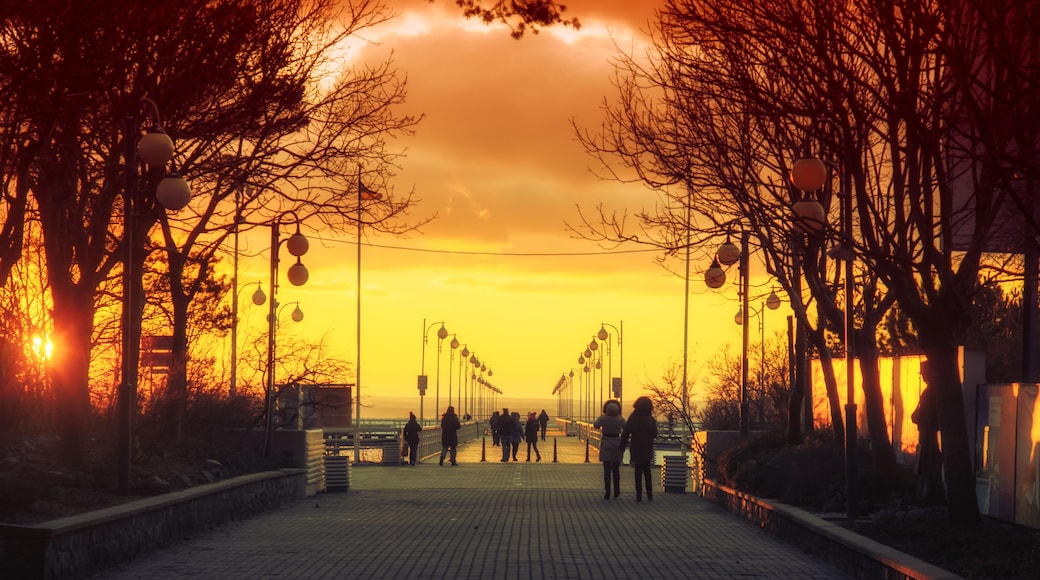 Pier in the winter - Jurata, Poland