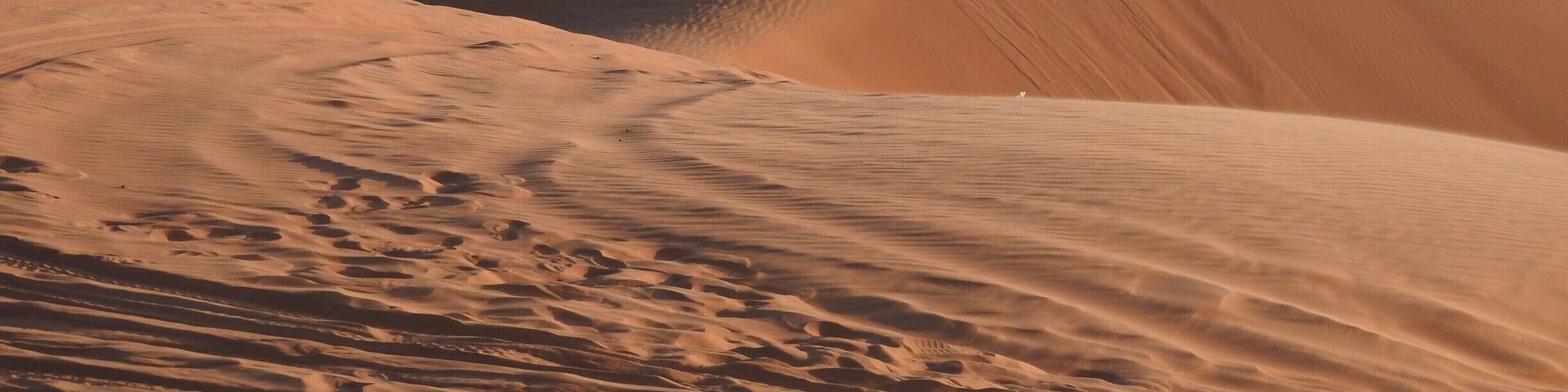 The undulating harmony of wilderness