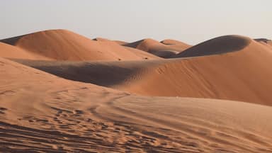 Dunas de arena con surcos en primer plano.