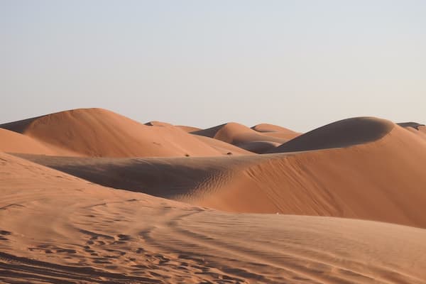 The undulating harmony of wilderness