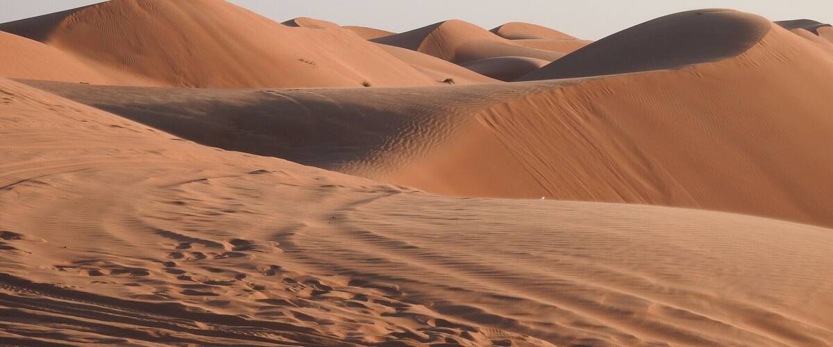 Sand dunes with tracks in the foreground.