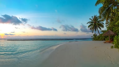Amazing wide panorama of tropical Maldives island. Exotic beach background with blue lagoon, turquoise water and palm trees during beautiful sunrise.