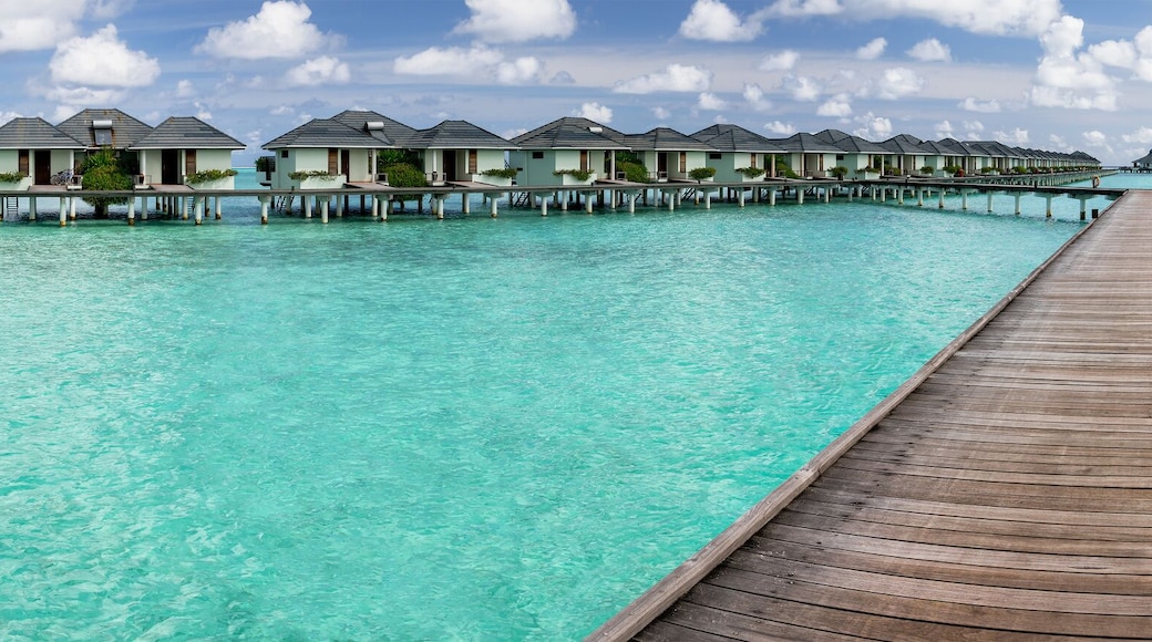 Wasser-Bungalows Nalaguraidhoo, Alif Dhaal Atoll, Malediven