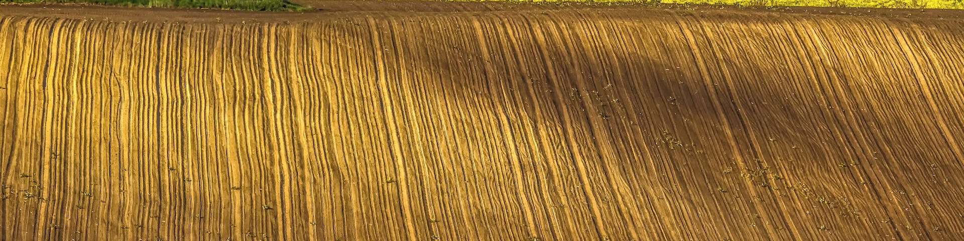 Driving around in this beautiful Country. Join my private Photo tour through Czechia. www.timvollmer.de