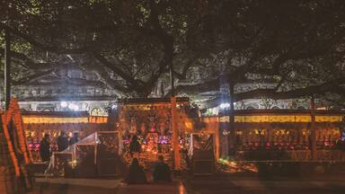 Tree of enlightenment at Bodh gaya