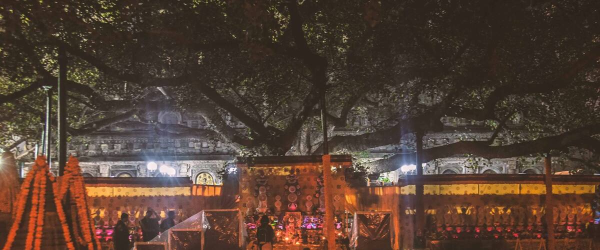 Tree of enlightenment at Bodh gaya