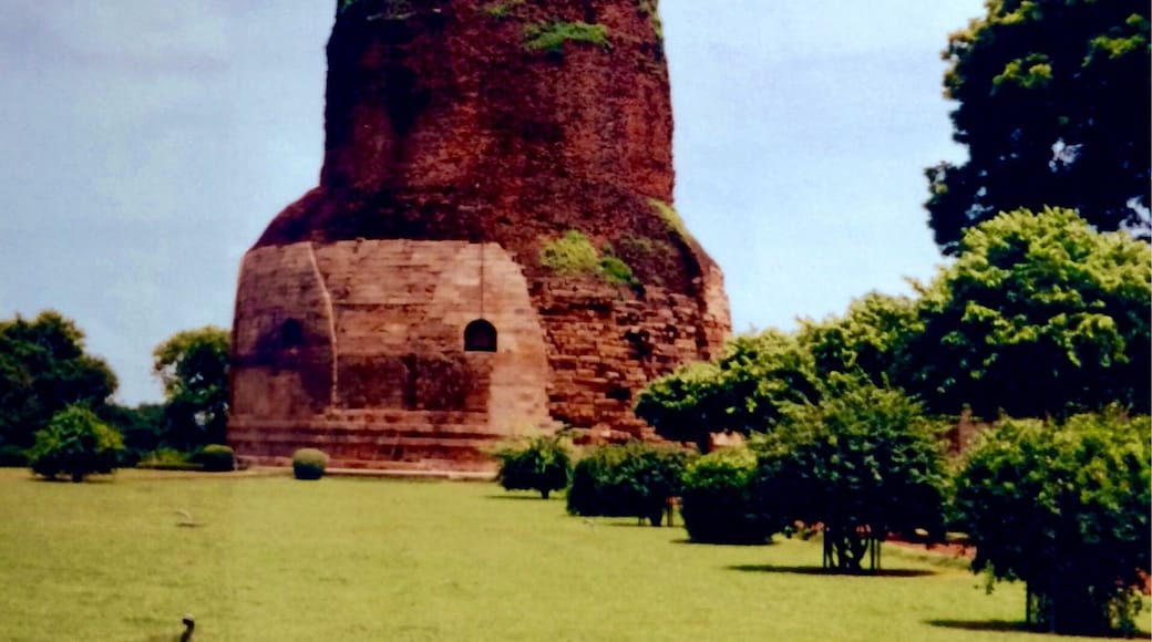 Buddhist pilgrimage site. Catch a bus from Varinasi.