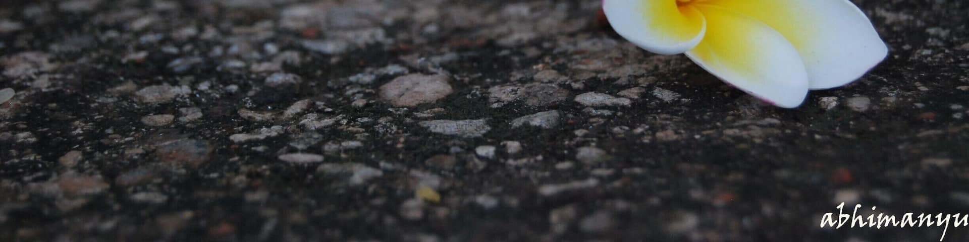 Let the flower within you bloom!