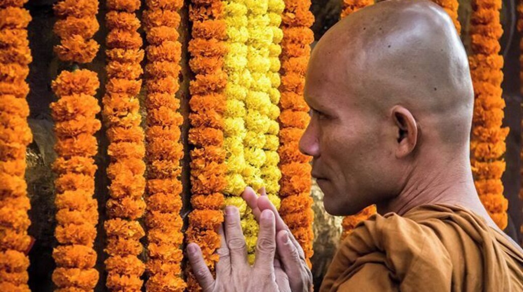 Budhhist monks coming to pay their respects on the spot Buddha gained enlightenment all those years ago.