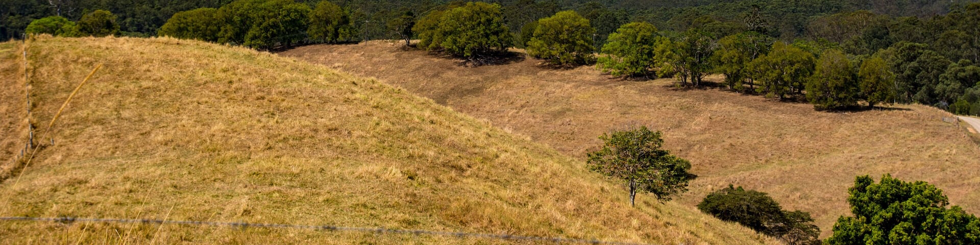 View towards Mount Cooroy, Sunshine Close, Queensland, Australia on a clear day