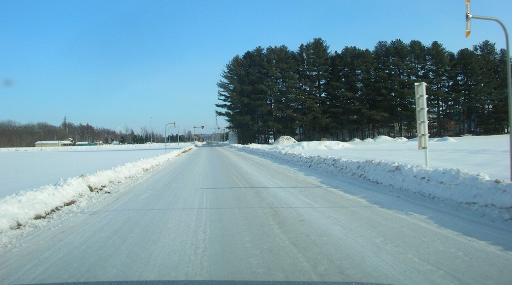 アイスバーン(Icy road)