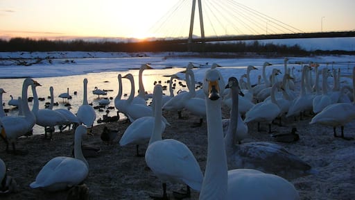 なにか?(So what?)