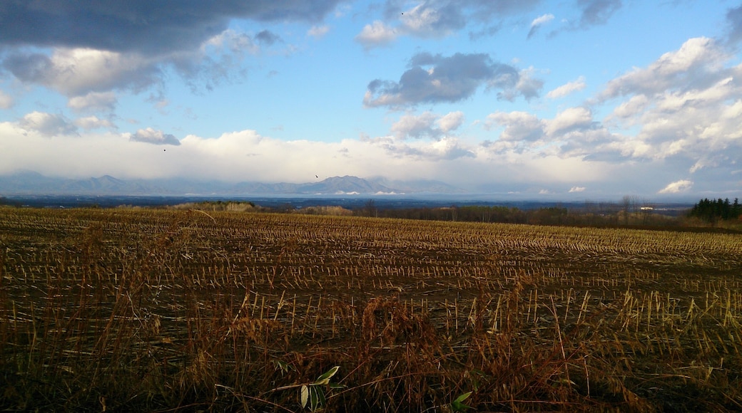 Nishi 17 Jominami, Obihiro, Hokkaido Prefecture 080-0027, Japan