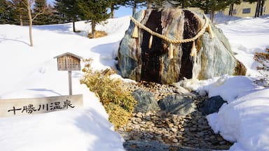 Tokachigawa Hot Spring in Obihiro, Hokkaido, Japan - 日本 北海道 帯広 十勝川温泉