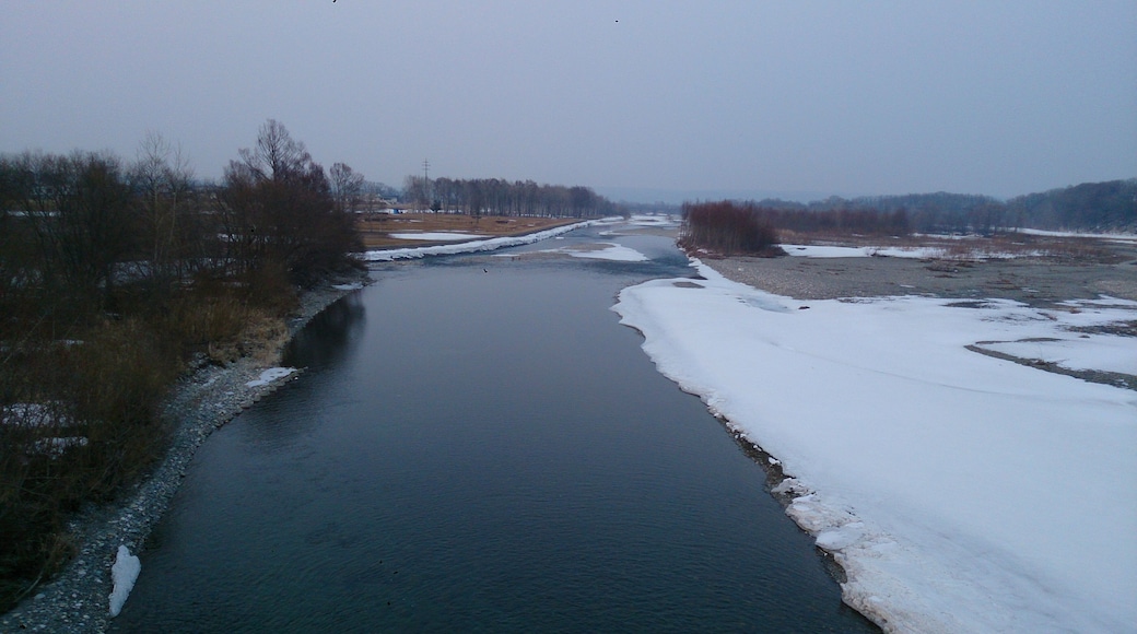 札内清柳大橋から見た札内川