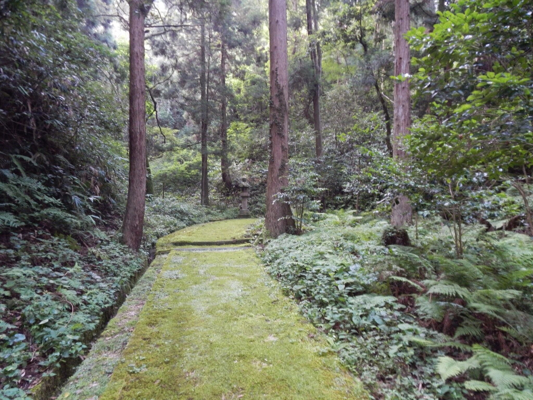 Kutani, Shinonsen, Mikata District, Hyogo Prefecture 669-6721, Japan