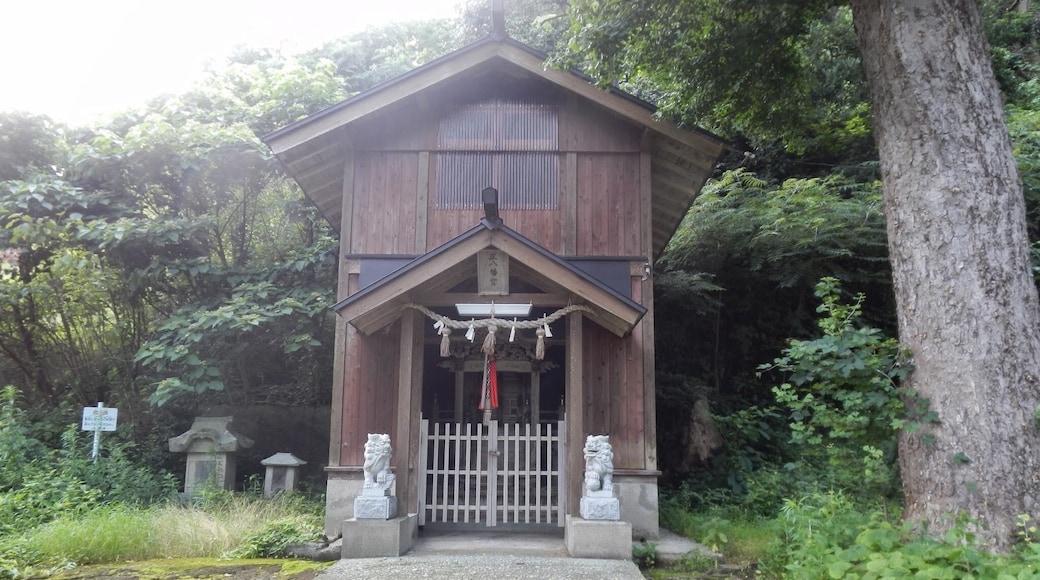 Igumi, Shinonsen, Mikata District, Hyogo Prefecture 669-6751, Japan