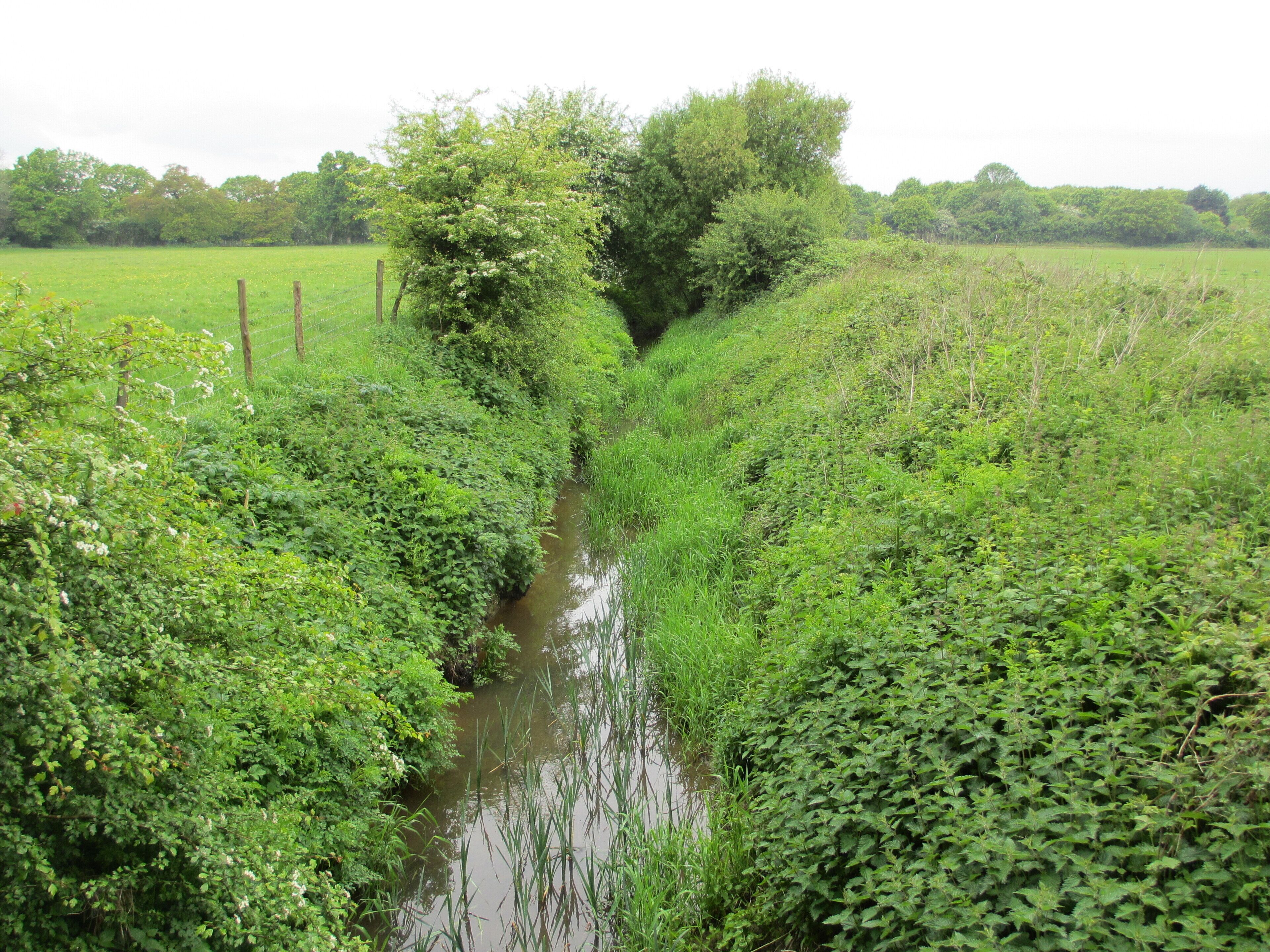 Ray Brook a tributary of the Eden Brook which is a tributary of the River Eden in Kent