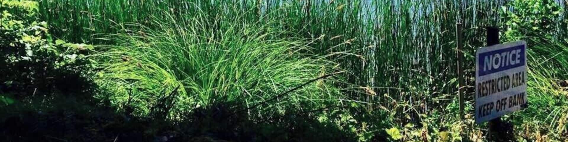 #BVSBlue
Lunch with a lake view..summers day in the UK,