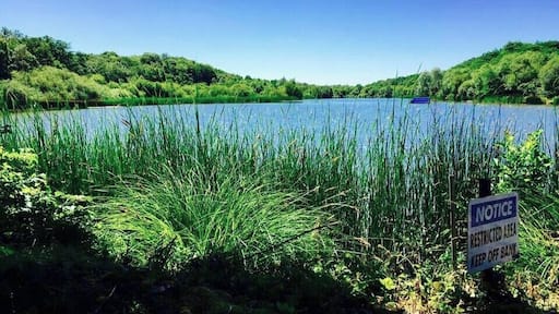 #BVSBlue
Lunch with a lake view..summers day in the UK,