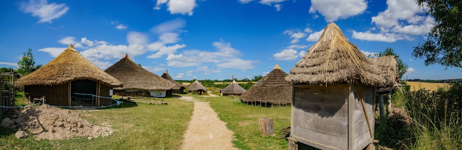 Un pueblo rural con casas de techo de paja y un sendero de tierra.