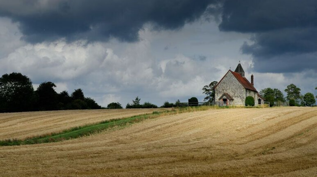 St Hubert's, Idsworth