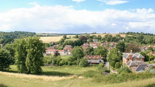 View of Hambledon, Hampshire, UK, from Speltham Hill, July 2009, taken from the Wayfarer's Walk, heading north.
