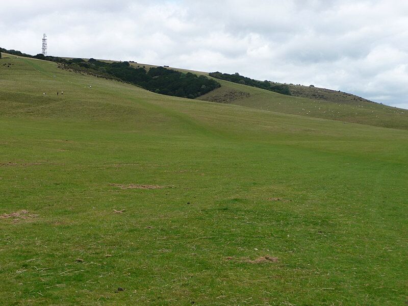Butser Hill, from Hilhampton Bottom