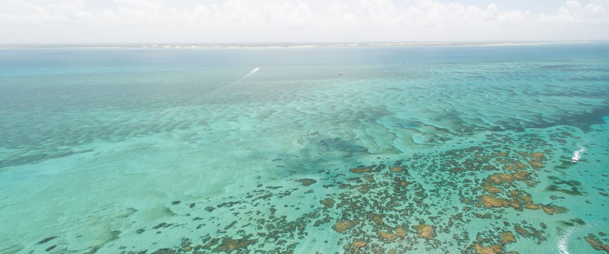 A clear view of a coral reef with shallow waters and a distant shoreline.