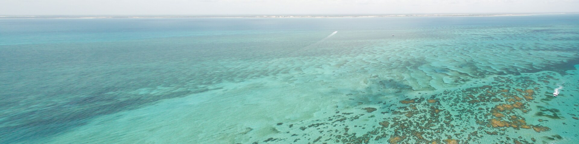 A clear view of a coral reef with shallow waters and a distant shoreline.