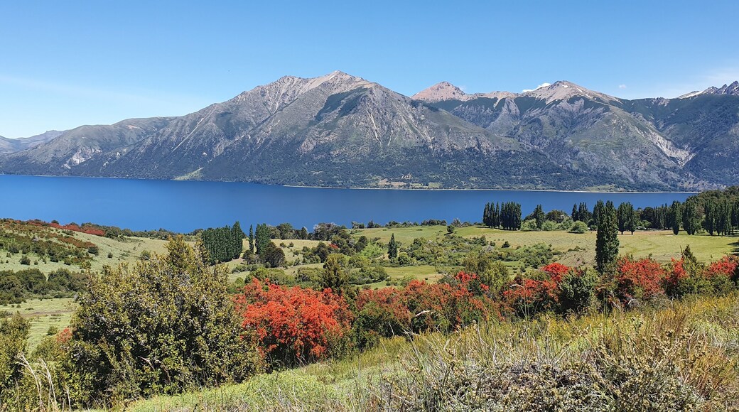 安第斯山脉的犹宁