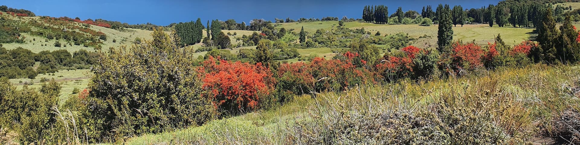 Spring in Huechulafquen Lake, Junin de los Andes, Argentina