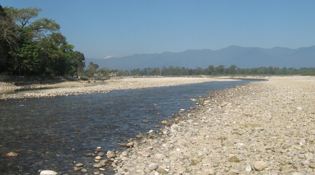 It's a spectacular river bed near Gorumara National Park of West Bengal, India. The downstream of Murti River flows between tea garden in one side and dense forest on other. Bhutan hills in the backdrop overlooking Mount Kanchenjunga. The forest is the home of the King of Jungle, here referred as Indian Elephant, Asiatic Rhinos, Gaur (Indian Bison), Leopard and the Royal Bengal Tiger. One can enjoy the river bathing, fishing, forest walking, tea tours, wildlife safari or enchanting scenic beauty of nature. The forest is close to Bhutan, Nepal, Sikkim and Darjeeling.