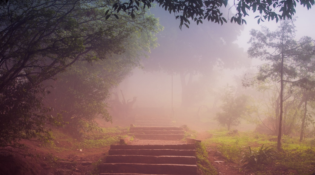 A misty forest path with steps leading up to a distant structure.